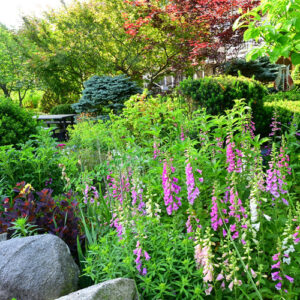 Low Maintenance Flowers in Tingshu’s Garden