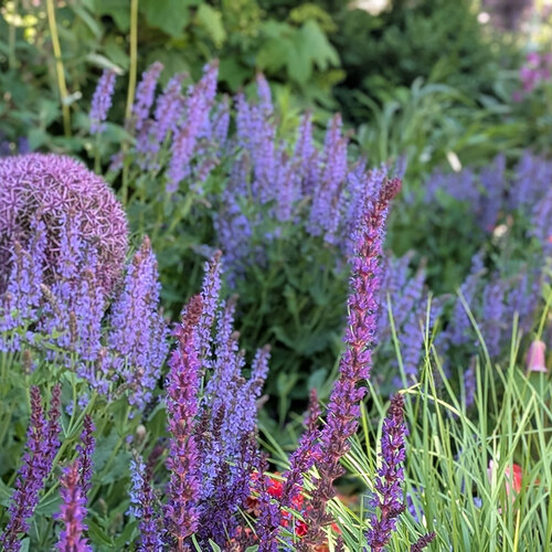 Jennifer Gardens for Color and Texture in New York