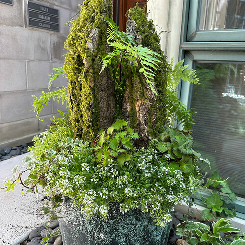 Howard’s Spring Containers in Chicago