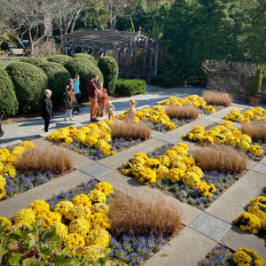 Growing Garden Knowledge During the Peak Season