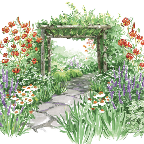 Native Perennial Border Planting Plan for Multiseason Interest