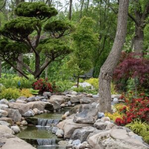 Planting Plans for a Woodland Garden Full of Texture