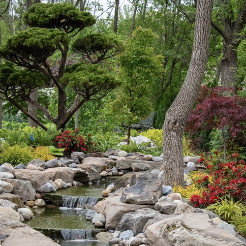 Planting Plans for a Woodland Garden Full of Texture