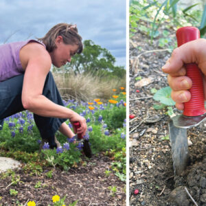 Ergonomic Gardening Tools to Help You Get More Done