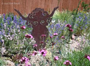 Marilyn Raff’s garden of foliage, flowers, and fragrance