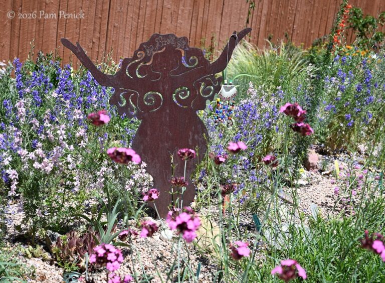 Marilyn Raff’s garden of foliage, flowers, and fragrance