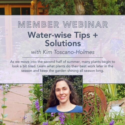 Water-Wise Gardening Webinar: Tips and Solutions