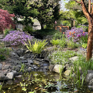 Jo Ann Adjusts to Gardening in the PNW