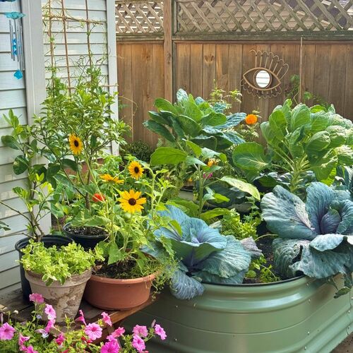 Marisa’s Small-Space Milwaukee Garden – Fine Gardening