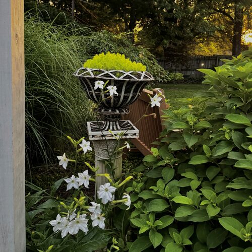 Suzannah’s Quintessential Midwest Garden – Fine Gardening
