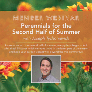 Perennials for the Second Half of Summer with Joseph Tychonievich