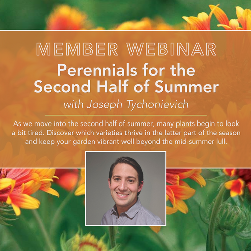 Perennials for the Second Half of Summer with Joseph Tychonievich