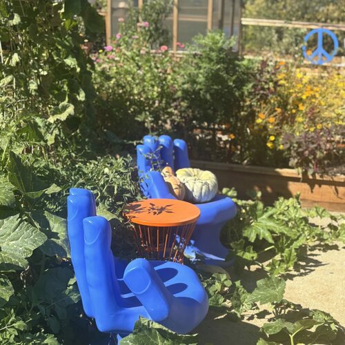 Growing More Than a School Garden