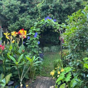 Marilyn’s Zone 9 Tropical Garden