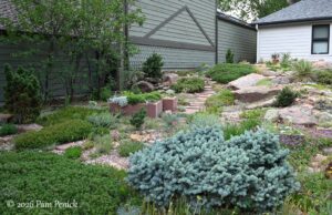 Rock solid: Anne Smith’s rock and trough garden in Boulder