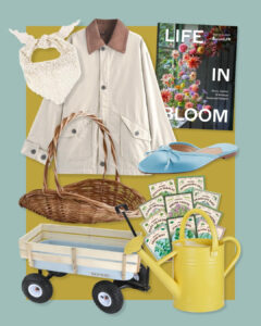 Amazon Sundays: Mornings in the Garden