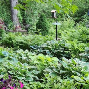 Deliberate Chaos in Maxine’s New York Cottage Garden