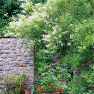 5 Tips for Making Any Garden More Immersive