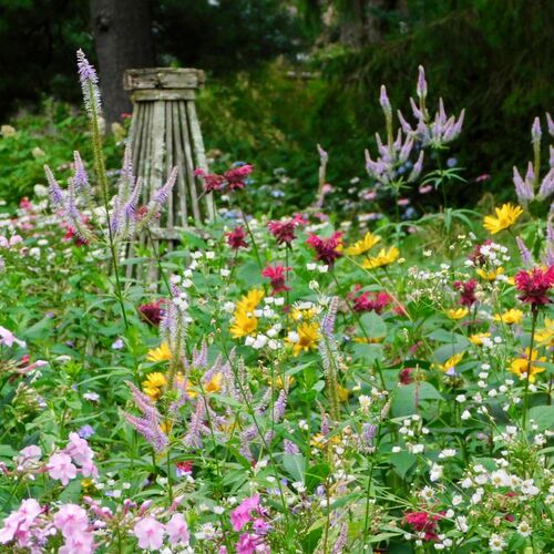 Heidi’s Connecticut Garden at Its Summer Peak
