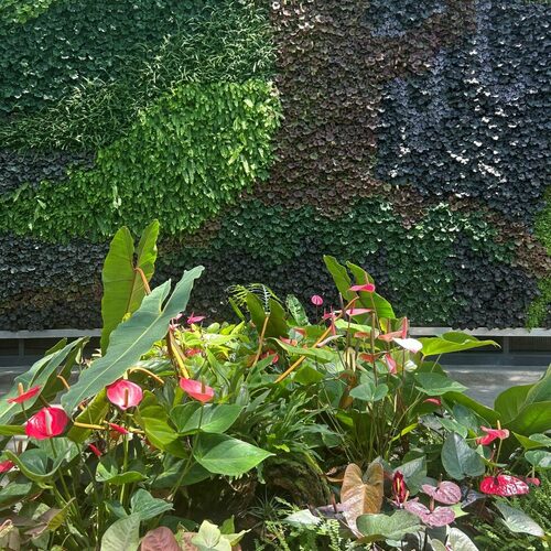 Royal Botanic Garden Sydney: Plants and Design Ideas to Bring Home