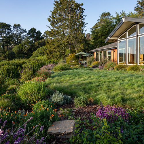 Planting Plans: Transforming a Large Property with Functional Landscape Design