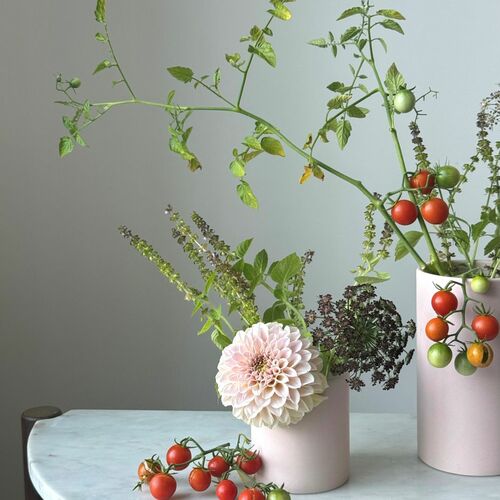 From Flower Farm to Vase in Connecticut
