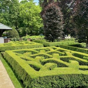 Topiary Takes Center Stage in David’s Ohio Garden