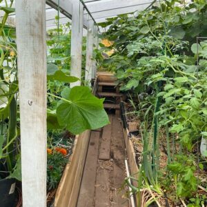 Building a Greenhouse from the Ground Down