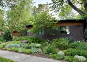 Scoping out houses, gardens in my new neighborhood