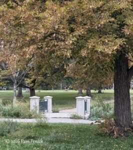 Fall walkabout in Washington Park
