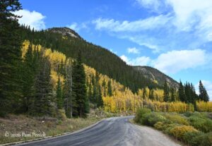 Aspen gold lighting up Colorado’s mountain passes