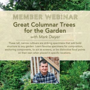 Webinar: Great Columnar Trees for the Garden  