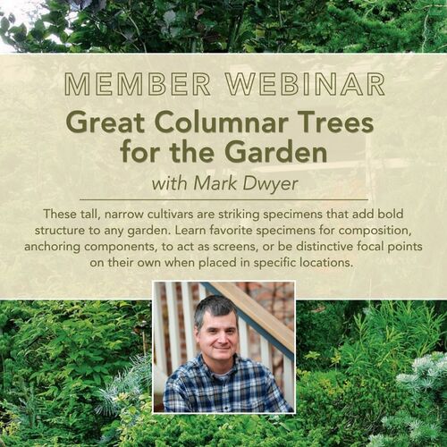 Webinar: Great Columnar Trees for the Garden  