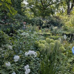 A Garden Like a Bouquet: Marieke Nolsen’s Garden in the Netherlands