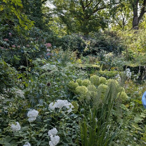 A Garden Like a Bouquet: Marieke Nolsen’s Garden in the Netherlands