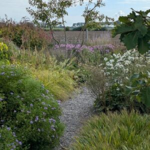 A Dutch Garden in Bloom: Tom DeWitte’s Netherlands Garden