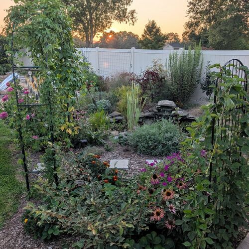 Brittany’s Pond Garden Transformation in Maryland