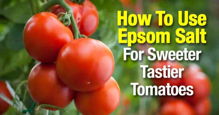 Make Them Sweeter and Tastier