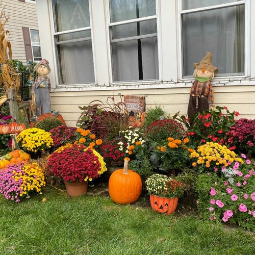 Fall Container and Display Ideas From GPOD Gardens