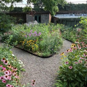 A Philadelphia Pollinator Garden Through the Seasons