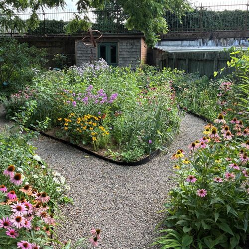 A Philadelphia Pollinator Garden Through the Seasons