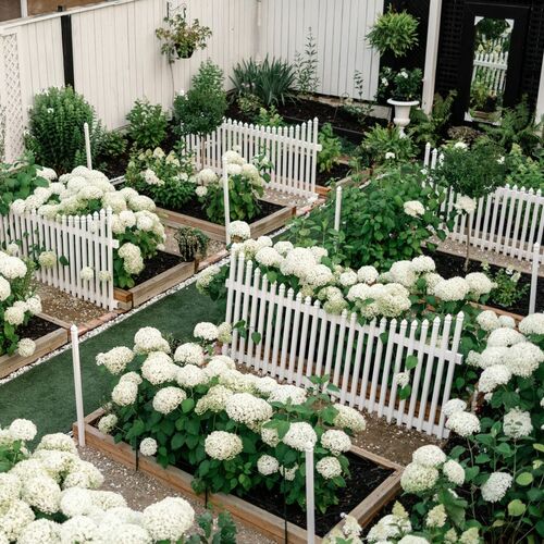 Marni’s Hydrangea-Filled Garden in Alberta