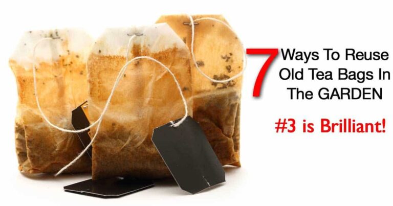 7 Ways To Reuse Old Used Tea Bags In The Garden, #3 Brilliant!
