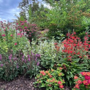 Rachel’s Colorful Hillside Garden in Atlanta