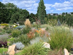 Waterwise bountiful gardens at Chatfield Farms