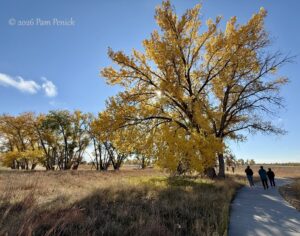 Prairie walk and Momaday reading at Rocky Mountain Arsenal Wildlife Refuge