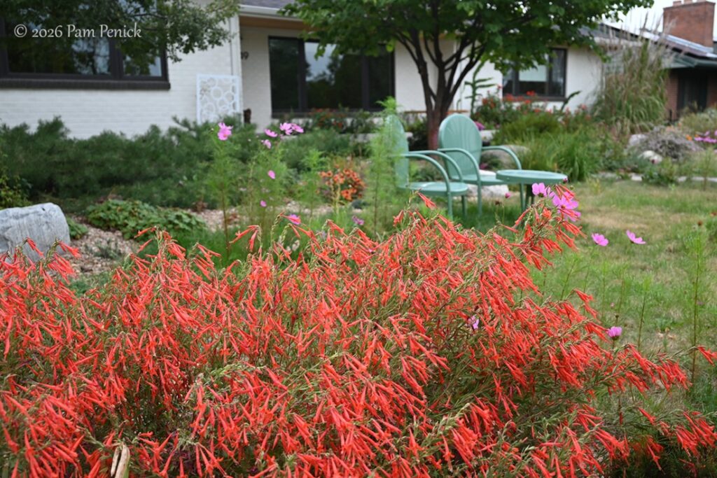 Beyond Ivy Street: Landscape architect Wendy Booth’s home garden