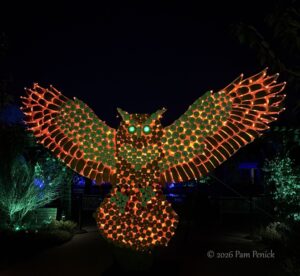 Pumpkins gone wild at Denver’s Glow at the Gardens
