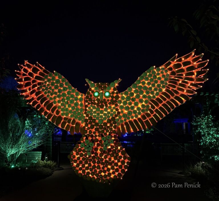 Pumpkins gone wild at Denver’s Glow at the Gardens