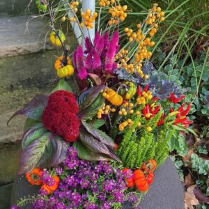 Fall Container Designs That Make an Entrance